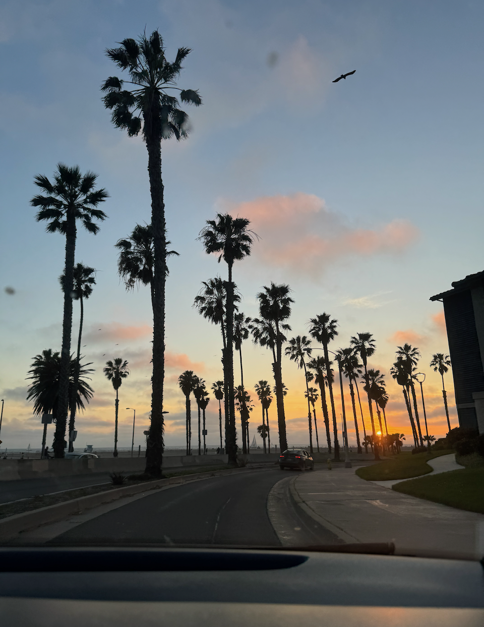 Santa Monica, driving at sunset