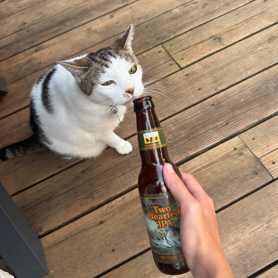 Meimei, becoming an alcoholic